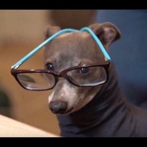 Meet your Posher, Annette